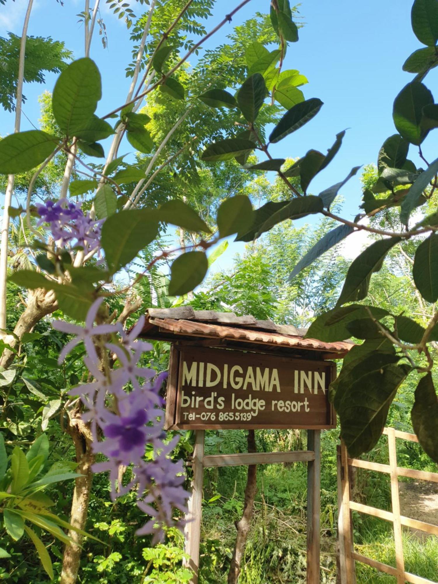 Midigama Inn Ahangama Eksteriør bilde
